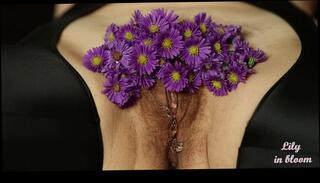 Video 1657879263: hairy milf solo, hairy pussy amateur milf, milf solo masturbation moaning, milf solo orgasm masturbation, hairy pussy mature milf, hairy pussy fetish, milf solo female, hairy pussy masturbates clit, milf masturbating pierced pussy, solo female vibrator orgasm, hairy pussy handjob, fetish games