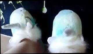 Video 1625769721: foot worship pov, european babe foot worshiped, teen foot worship, sexy foot worship, girl foot worship, foot worship sex, amateur foot worship, hot foot worship, bisexual foot, horny pov teen, white girl foot, very sexy foot, sweet teen pov, petite teen pov, home pov sex, straight bisexual, cosplay foot, teen wow