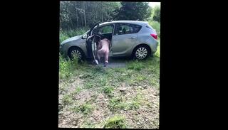 Video 1655607841: big uncut cock bareback, uncut cock masturbation cum, daddy fucks boy bareback, uncut cock masturbation cumshot, uncut cock gay sex, anal bareback sucks cock, cock sucking bareback ass, cock anal bareback blowjob, straight boy fucked bareback, amateur gay bareback anal, cock sucker barebacked, uncut cock deep throat, uncut cock cumming hard, fucking bareback outdoors boys, boys bareback hot fuck, fucks guy anal bareback, bareback fucking gay man, daddy barebacks step son, uncut cock public, massive uncut cock, cock close uncut, giant cock bareback, uncut dads, fucking bareback hd, bareback car, uncut french