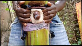 Video 1656966721: gay pov bareback boy, crossdresser femboy cum, femboy crossdresser slut, crossdressing femboy teen, hairy daddy bareback, bareback pov cock, vintage hairy sex, hairy ass bareback, hot femboy crossdresser, hairy young men bareback, vintage black bareback, big cock femboy cum, cute femboy fucks cock, boy bareback fucked hard, hairy old pussy fucked, hairy naked boys, pov ass fucking tattoo, bareback fucking gay man, barebacked fuck kissing, hd pov teen fuck, first time bareback boy, massive cock pov, crossdresser public fuck, crossdresser uniform, vintage english, big dick slut, big long dick