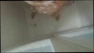 Video 1573319181: brother sister homemade, huge tits bbw milf, bbw milf big boobs, big tit bbw granny, bbw milf shower, dirty big tit milf, huge natural boobs milf, straight brothers, perverted brother, plumper milf, ass huge boobs, dirty secret