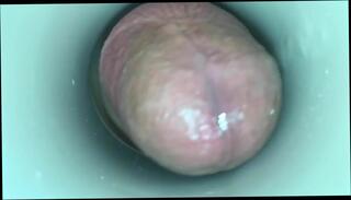 Video 342806401: masturbate cum cam, cock cum horny, cock cum toy, horny amateur cam, sex toy cam, horny gay cock, gay sex man cocks, horny asian man sex, amateur masturbation hd