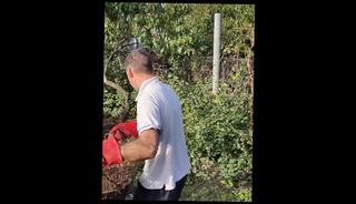 Video 1586601033: solo male compilation, solo male fetish, amateur solo male, times compilation