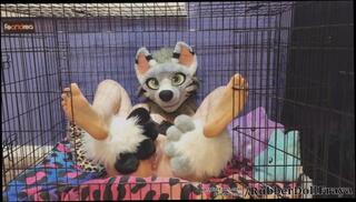 Video 1603523563: furry fetish, fetish solo, solo amateur toys, fetish pussy toying, amateur solo female, clit fetish, cage, cunt