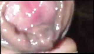 Video 1571271131: gay mouth