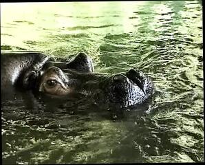 Video 1601373161: milf retro vintage, blowjob doggy cumshot milf, doggy cumshot milf anal, vintage retro german amateur, milf hardcore doggy style, vintage babe doggy styled, milf doggy style sex, pumped doggy style, blonde milf doggy style, slut milfs blowjob anal, cock riding doggy style, doggy style cowgirl blowjob, sexy milf blowjob, sexy milf boobs, huge cock doggy style, boy friend doggy style, doggy style public sex, big cock doggy style, milf sexy stockings, doggy style straight, sexy black milf, tight holes pumped, doggy style pleasuring, doggy style screaming, milf biggest