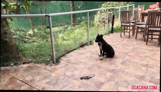 Video 1657554381: busty milf fucked doggy, busty milf finger fucking, busty milf fingers teen, busty milf doggy styled, busty milf tit fucking, doggy cumshot milf anal, busty amateur milf homemade, blowjob doggy cumshot milf, busty milf girl friend, milf doggy style sex, big tits milf doggy, busty milf cute teen, busty german milf fucked, mature milf fucked doggy, busty asian milf fucked, busty milf mom, busty milf handjob, busty tattooed german milf, hottest busty milf, busty indian milf, busty milfs mouth, busty petite milf, natural busty milf, amateur couple fucking doggy, big breast milf fucked, milf fucks older, doggy style straight, busty girls hd, busty trainee, busty portuguese, pervert teacher, teacher face