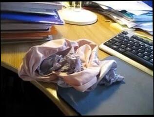 Video 42409401: cum wife panties, gay wife, gay man cum, wife shopping, wife rubbing