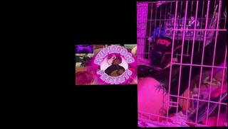 Video 1625895733: latex bondage slave, latex fetish bondage, solo sex fucking machine, pump fuck machine, femboy fuck machine, amateur femboy solo, femboy solo ass, ftm pumping, ftm solo play, bondage slave training, sex machine fuck pussy, ftm trans pussy, fuck machine big ass, ftm trans male, pet slave training, tattooed ftm