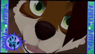 Video 1313031203: cartoon pov blowjob, pov furry, pov pussy licking, amateur pov orgasm, dick pov sex, pov female orgasm, cosplay pov blowjob, pov blowjob starring, pov pussy play, bedroom pov, bed pov, licked squeezed