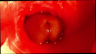 Video 1658392985: pregnant creampie, pregnant fetish, pregnant solo, pregnant sex moaning orgasm, creampie orgasm cum, huge cock solo cum, big cock creampie cum, sexy solo orgasm, pregnant sex toy, amateur cum creampie, creampie huge cum load, cum close solo, sex doll creampie, ruined creampie, hole moaning