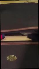 Video 316894401: lesbian femmes, man gay