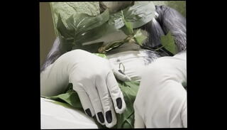 Video 1621451395: furry masturbation, furry cosplay