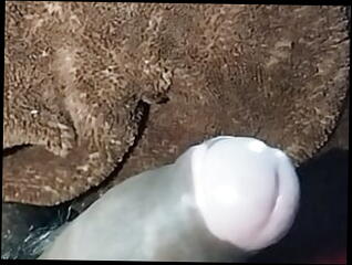 Video 1621659381: solo boy gay porn, masturbation indian boy solo, solo boy big cock, solo boy handjob, desi boy solo, solo outdoor masturbation, boy masturbation cumshot, dick boy masturbating, desi boy sex, boy masturbate hard