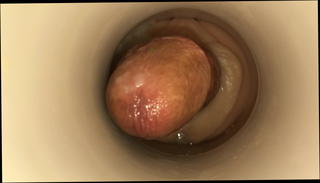 Video 1222954401: cum cam man, gay man cum