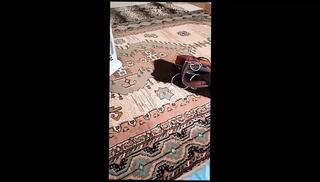 Video 1625694851: straight turkish