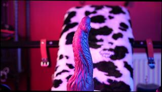 Video 1609910973: big dildo sex toy, amateur dildos toys, couple dildo, bad couple, sex 60fps