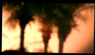 Video 1665267905: lesbian solo masturbation, small tits solo masturbation, shemale solo cumshot, solo masturbation blowjob, transsexual lesbians, lesbian facial, dick