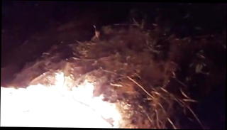 Video 1264386401: cougar milf sucking, milf public nudity, milf sucking young dick, milf sucks cum, milf blowjob sucking, homemade milf blowjob, homemade milf sex, european milf sucks, milfs mouth cummed, milf blowjob hd, straight milf, one milf, natural cougar