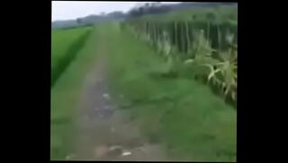 Video 1445071225: vietnam gay, gay outdoor