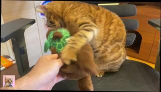 Video 1582271103: hitomi tanaka, lela star, bukkake creampie, creampie amateur cumshot blowjob, creampie pussy licking, babe pussy creampied, cum creampie pussy, pink pussy creampie, pussy mouth creampie, women creampie, bukkake porn, pussy sucking, stuffs pussy, delicious pussy