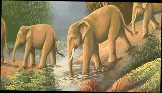 Video 1655622591: cheerleader interracial, cheerleaders pussy licking, interracial cock licking, black cock interracial ass, cheerleader drilled, sexy cheerleader, big ass cheerleaders, cheerleader cum, hot interracial pussy, interracial cunt, interracial dudes, straight interracial, beautiful cheerleader, interracial black guy, brunette cheerleader, interracial mouth, interracial african, interracial shaved, interracial male, interracial hd, pussy licking cumshot, pussy licking nicely, shaved snatch licked, shaved twat licked, pussy takes cumshot, sexy afro