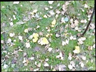 Video 1585821121: uncut gay twink cock, hot uncut twink, big uncut twink, voyeur twink, huge uncut cock gay, uncut cock ass, amateur uncut cock, uncut cock head, uncut cock outdoor, gay twink hd, cock picks, finnish gay, mans cock