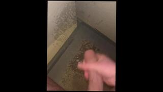 Video 1608877073: solo pee fetish, solo gay uncut cock, uncut twink cum, uncut twink boy, big uncut twink cock, fetish twink porn, twink solo cumshot, solo amateur twink, solo male pee, voyeur peeing, twink handjob cum, students peeing, twink boys party, gay twink public, male pee desperation, exhib public amateur