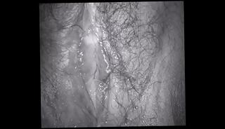 Video 683429665: aunty massage, vintage aunty, aunty squirt, wet fat pussy squirting, desi aunty pussy, indian aunty pussy, sensual pussy massage, housewife aunty, massage seduction, classic vintage, best wet pussy