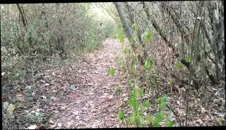 Video 1664300201: big uncut cock bareback, uncut cock wank cum, gay bareback fucking cock, bareback fuck suck cock, daddy fuck bear bareback, hairy daddy wanking, bareback butt hole fucking, bareback cum swallow, gay men bareback fucking, big cock blowjob bareback, amateur uncut cock, bareback cum filled, uncut cock outdoor, uncut wank old, uncut dads, bareback fucked mouth, german gay bareback, fucking bareback hd, bareback married, uncut public, sucking cock tasting cum, dick lips, thick dick, dick close