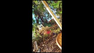 Video 1654206123: jennifer lopez, amateur girl anal sex, girl anal fucked sex, rough amateurs anal sex, indian girl anal sex, public sex amateur fuck, girl loves anal sex, girl cosplay sex, sex game girl, girl anal casting, floridas amateurs, pokemon girls