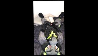 Video 1662583393: fetish solo masturbation, fetish gay solo, furry fetish, solo male masturbation cum, solo male masturbation cumshot, solo jerk cum, solo amateur jerking