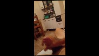 Video 1658670763: chubby amateur solo, chubby gay solo, chubby male solo, bareback chubby, gay black bareback dick, chubby amateur blowjob, bareback big dick gay, chubby college