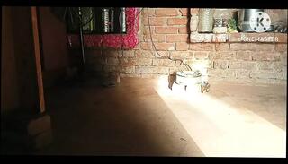 Video 1626438821: hairy anal sex, hardcore hairy sex, hairy ass anal, indian hairy ass, hairy housewife, hairy cowgirl, hairy couple, big ass hairy, homemade hairy, hairy straight, hairy desi indian, hairy parts, hd hairy, desi couple sex home