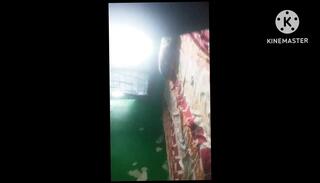 Video 1654577861: indian bbw aunty sex, ass indian bbw aunty, ass indian aunty doggy, big ass bbw stepsister, aunty doggy style sex, stepsister doggy style hard, indian bbw mature aunty, sis doggy style, boobs indian aunty sex, aunty girl sex indian, indian aunty homemade sex, titted big ass stepsister, doggy style sex blowjob, aunty sex indian hindi, big natural boobs stepsister, big butt stepsister, giant ass bbw, bbw big ass brunette, doggy style straight, stepsister hd, large bbw