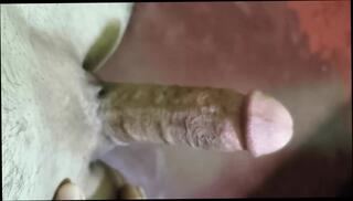 Video 1603186441: skinny solo, cumshot masturbation gay solo, big cock solo cumshot, homemade masturbation solo, skinny guys big cock, skinny asian gay, young skinny gay, skinny straight guy, solo masturbation hd, boys penis, penis cum, boy cream