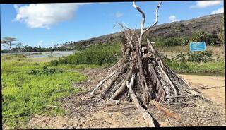 Video 1657605941: straight wife, mature british wife, mature wife outdoor, european wife, wife hd