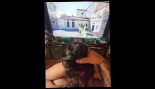 Video 1619361213: pov amateur bbw, bbw pov blowjob, fetish pov blowjob, pov blowjob cum swallow, pov amateur sloppy blowjob, pov blowjob titty, pov cumshot swallow, pov amateur big tit, bbw big tits girl, bbw goth girl, pov amateur tattooed, booty gf, bbw big women, bbw games, booty play