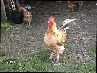 Video 1625230891: slut interracial threesome, outdoor interracial threesome, threesome horny sluts, threesome pussy, straight threesome, beautiful threesome, naughty threesome, threesomes shaved, stockings threesome, horny holland, horny fishnet