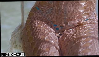 Video 1572574891: doggy style fuck closeup, interracial doggy style fuck, deep throat doggy fuck, blowjob deep throat doggy, doggy style fuck facial, boobs doggy style fucked, interracial black cock fuck, ass fucked doggy style, tits fucked doggy style, doggy fucks big boobs, interracial black cock loving, man doggy style fuck, ass hole doggy style, seduced doggy, small tits doggy style, doggy style fucking brunette, vagina closeup, straight interracial, private doggy style, doggy style hd, instructor seduces, blonde seduces