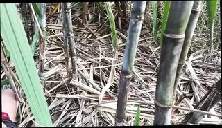 Video 1619293681: vintage pov, licking cock pov, mom pov anal, ass licking pov, pov big cock anal, pov hardcore anal, anal pov hd, vintage straight, pov 18 year old