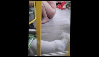 Video 1607128973: dildo riding anal gaping, solo anal dildo ride, solo anal dildo amateur, double dildo ride, double dildo gay, solo gay uncut, solo male dildo, mature riding dildo