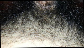 Video 1185565001: fetish hairy, hairy cock, hairy straight, pubic hair fetish, flashing hairy