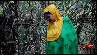 Video 1616303501: slut solo masturbation, big ass solo masturbation, big tits solo masturbation, solo masturbating straight, solo outdoor masturbation, ebony solo masturbation, black solo masturbation, solo masturbation hd, hijab slut