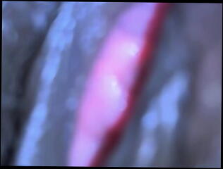 Video 1609539451: pov closeup pussy fucking, finger fucked closeup, ass fingering closeup, pov interracial fuck, closeup pov sex, amateur closeup pov, hot pov closeup, amateur pov slut fucked, pov homemade amateur fucking, fingers fucks ass hole, dick closeup fucking, finger fucking eating pussy, closeup fucking wife, finger fucking bitch, slut loves fingering, fat dick pov, ebony slut fingering, panties finger fucks, hot cheating wife interracial, mature slut fingering, slut interracial black, finger fucked rough, interracial housewife, closeup pussy hd, fingering straight, fingering foreplay