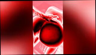 Video 1656595861: oiled ass doggy pov, booty milf oiled, booty doggy style pov, pov doggy style creampie, big booty milf doggy, creampie dripping cum pov, booty milf riding dick, amateur couple pov milf, pussy doggy style pov, mature milf riding creampie, milf's cunt creampied, fetish milf big ass, booty phat doggy style, hot pov doggy style, doggy style pov hd, big oiled butt riding, milf rides creams, vagina doggy style, twat doggy style, hottest amateur doggy style, english milf pussy, snatch creampied, booty spermed, doggy style straight