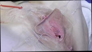 Video 1664759091: wide open, closeup gaping pussy, solo pussy gape, closeup pussy spreading, gaping spread snatch, gaping spread vagina, gaping spread twat, gaping spread cunt, closeup pussy licking, closeup pussy clit, amateur pussy closeup, pussy lips closeup, closeup pussy eating, pussy gape close, extreme closeup pussy, shaved pussy closeup, closeup pussy hd, solo straight, closeup deep, solo dutch, pussy very close