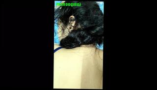 Video 1598909421: desi wife fucked husband, husband fucks indian wife, husband fucks hot wife, sexy big ass wife, sex wife orgasm, sexy wife blowjob, wife blowjob cumshot, big ass mom sex, big cock blowjob cumshot, fucked hard dirty talking, wife sex hindi, mature mom wife, sexy asian wife, blowjob cumshot hd, straight big cock asian, fuck long time