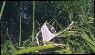 Video 1578994981: schoolgirl double, double penetration anal fuck, double penetration sex toys, teen anal double penetration, double penetration hard fuck, schoolgirl fuck blowjob, tit schoolgirl fuck, double penetration bitch, hot schoolgirl teen fucks, blonde teen double penetration, teen schoolgirl big tits, small tits schoolgirl teen, double fucked facialized, big cock double penetration, double penetration fantasy, double penetration party, cowgirl double, straight schoolgirl, american schoolgirl, teen blowjob tit