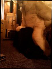 Video 1654127951: gay solo cumshot compilation, compil masturbation hand fetish, solo cum compilation, big cock solo compilation, furry compilation, solo boy masturbating cum, gay handjob cumshot compilation, young boys cum compilation, double cum fuck, cum load compilation, muscle solo cum, furry fuckers, old cum compilation, handsome boy solo, german cumshot compilation, european solo masturbation, pig compilation, fucking cum shoot, fake cum